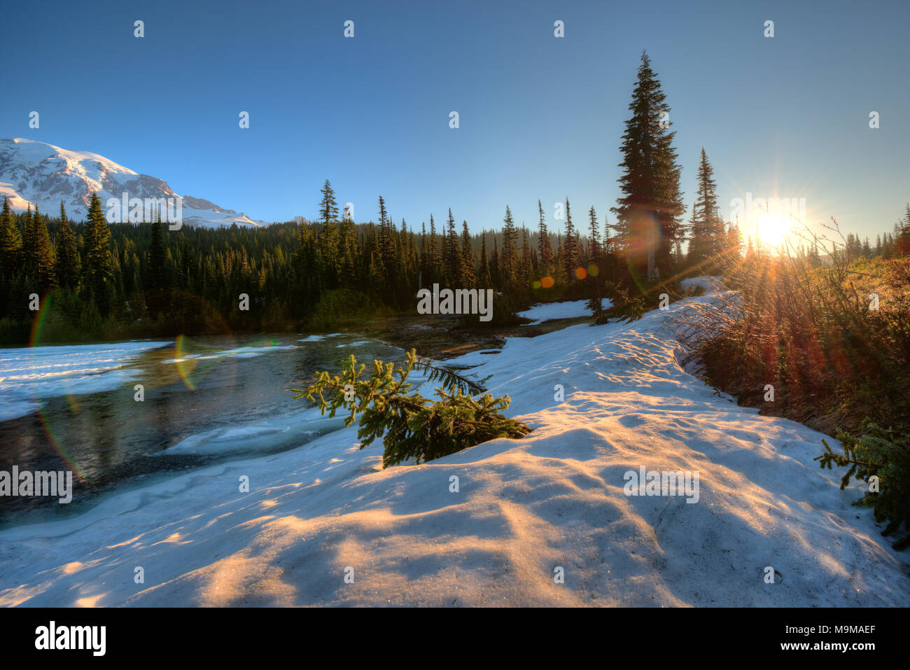 Frozen Reflection Lake at sunrise, Mount Rainier National Park, Washington State, USA Stock Photo