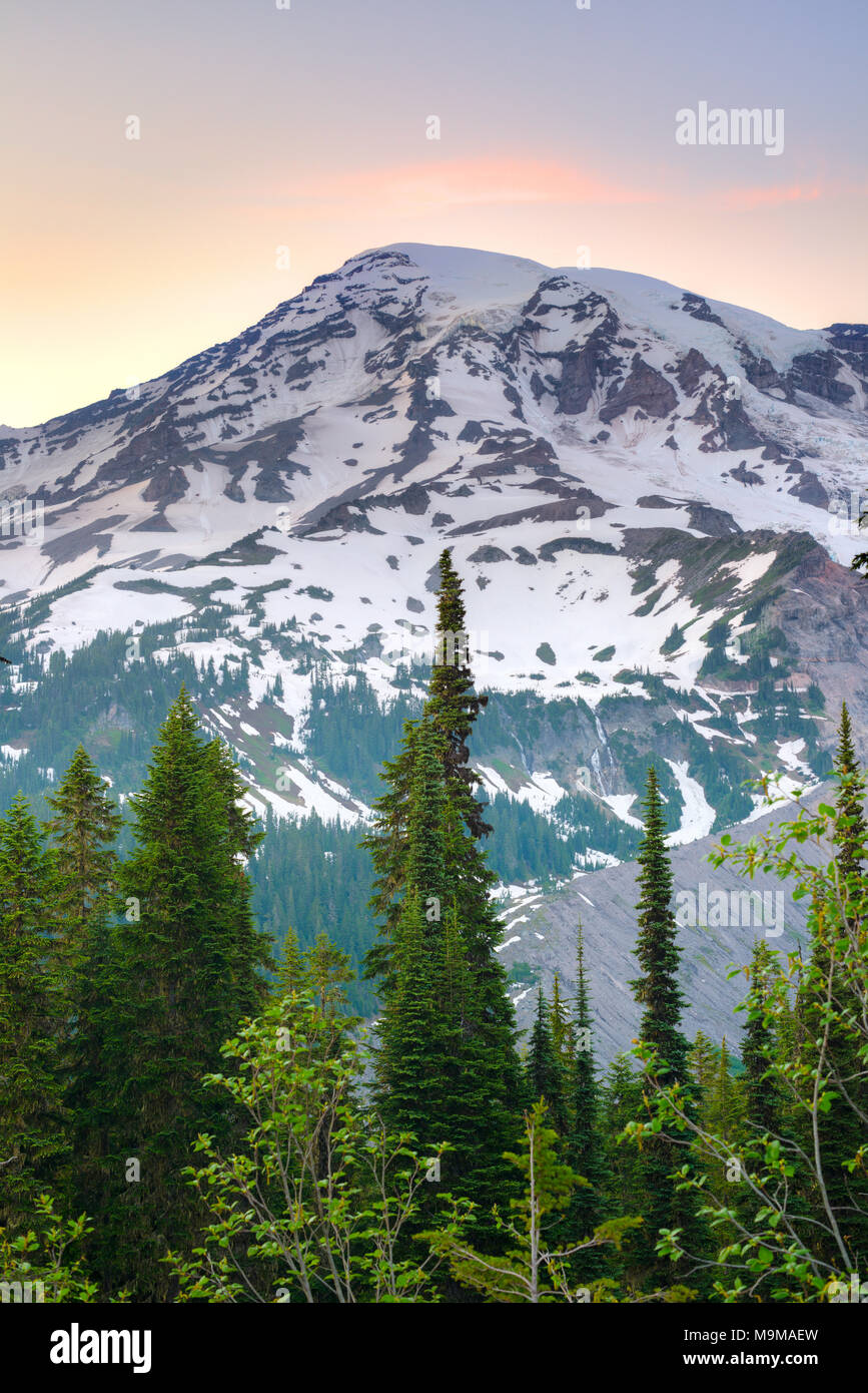 Mount Rainier summit at Mount Rainier National Park, Washington State, USA Stock Photo