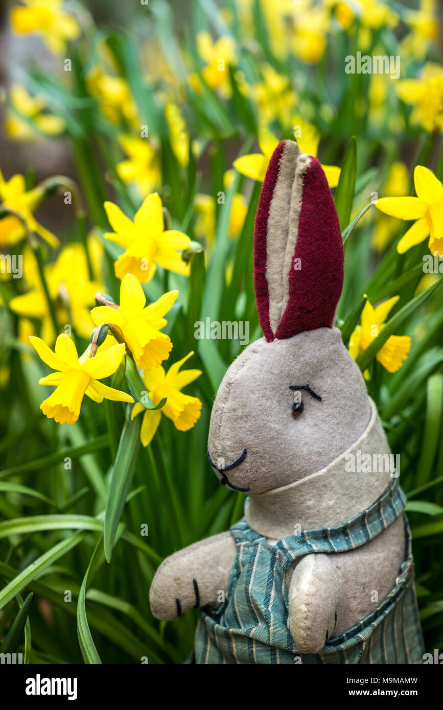Toy rabbit sitting amongst daffodils, seasonal easter bunny. Stock Photo