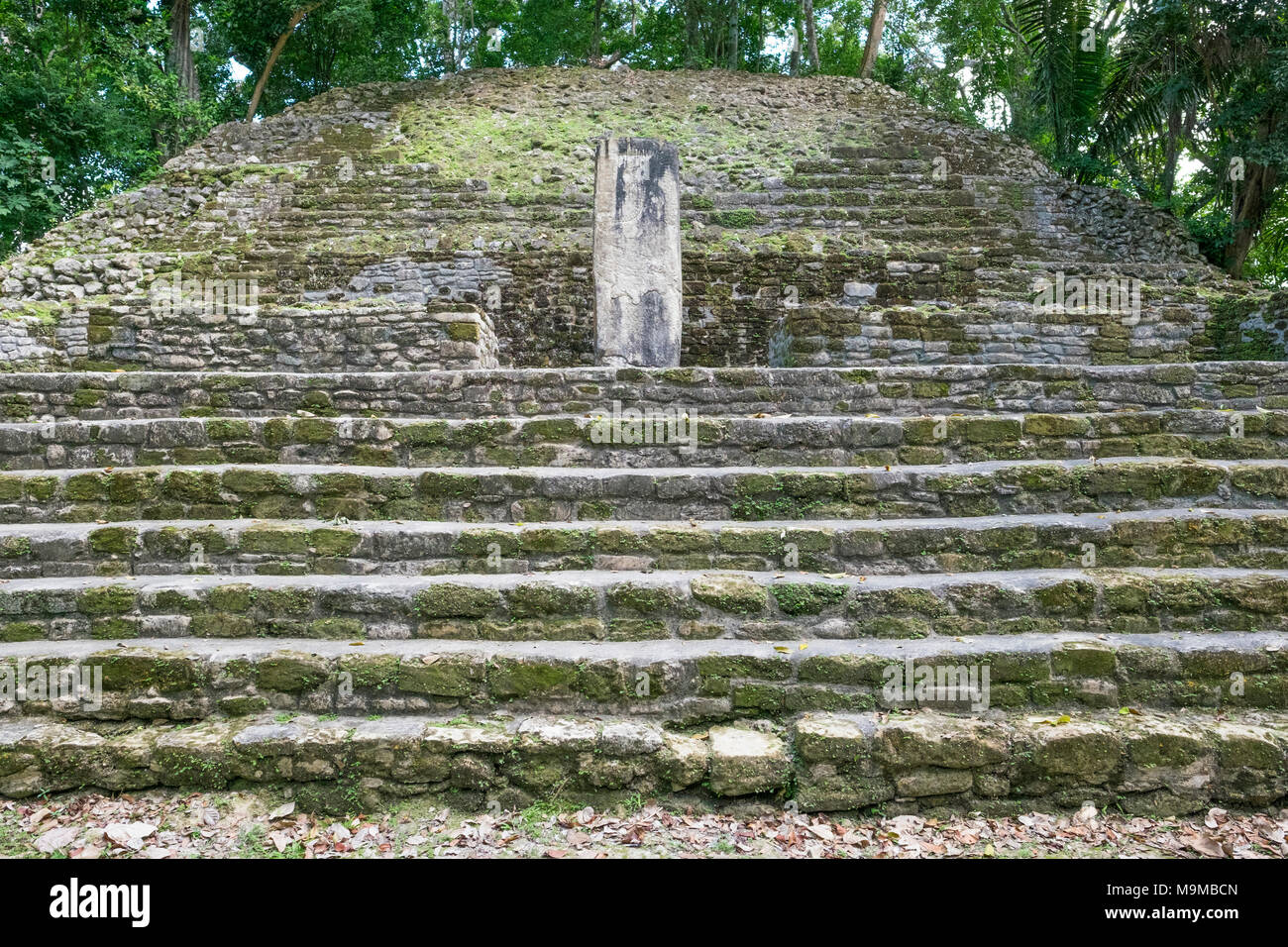Ancient Mayan ruins and temples in the archeological site of Lamanai, Belize, Central America Stock Photo