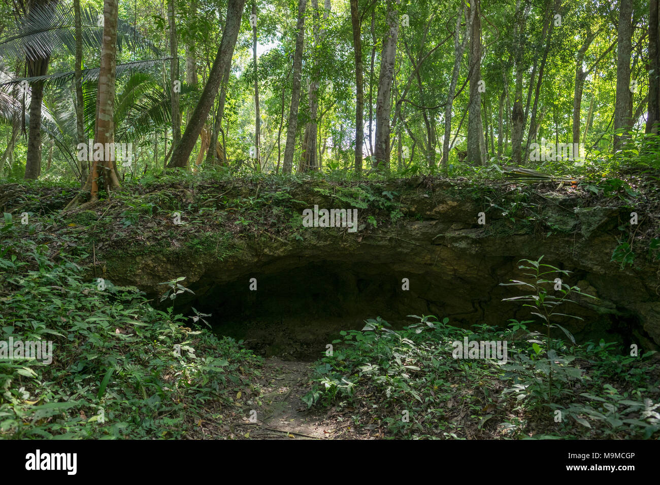 Ancient Mayan ruins and cave of the explorer, Teobert Maler, in Nakum, Guatemala Stock Photo