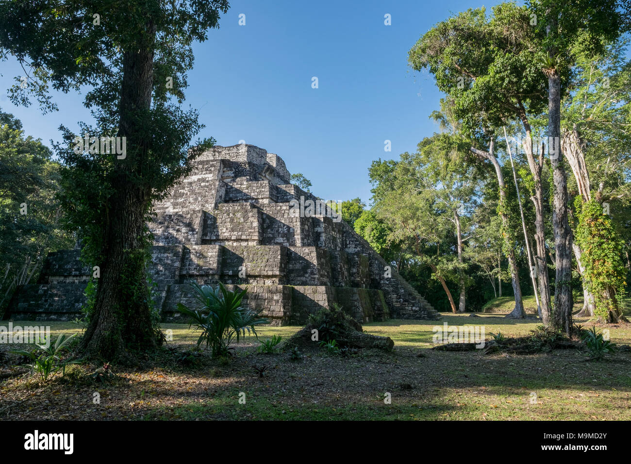 Ancient ruins from the Mayan archeological site in Yaxha, Guatemala Stock Photo