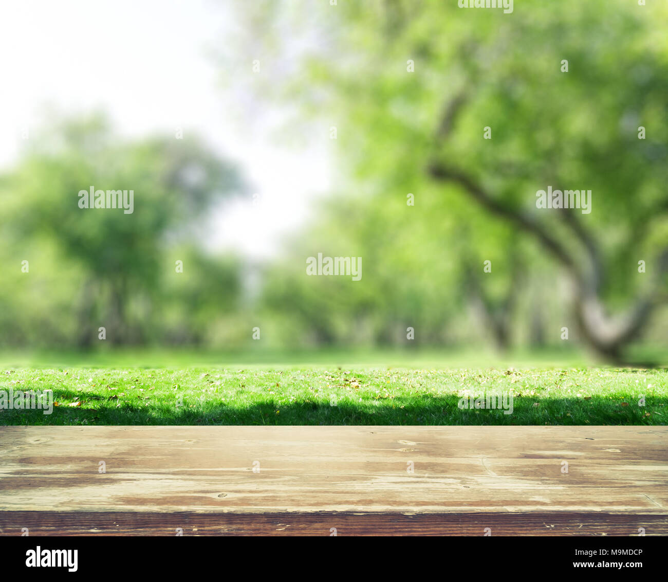 Park blur background Stock Photo - Alamy