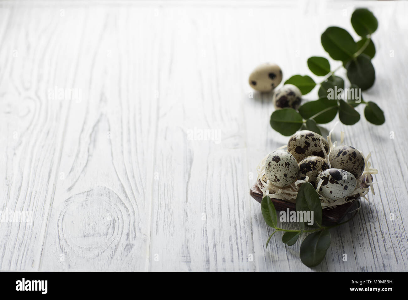 Eggs in the nest on white wooden background Stock Photo - Alamy