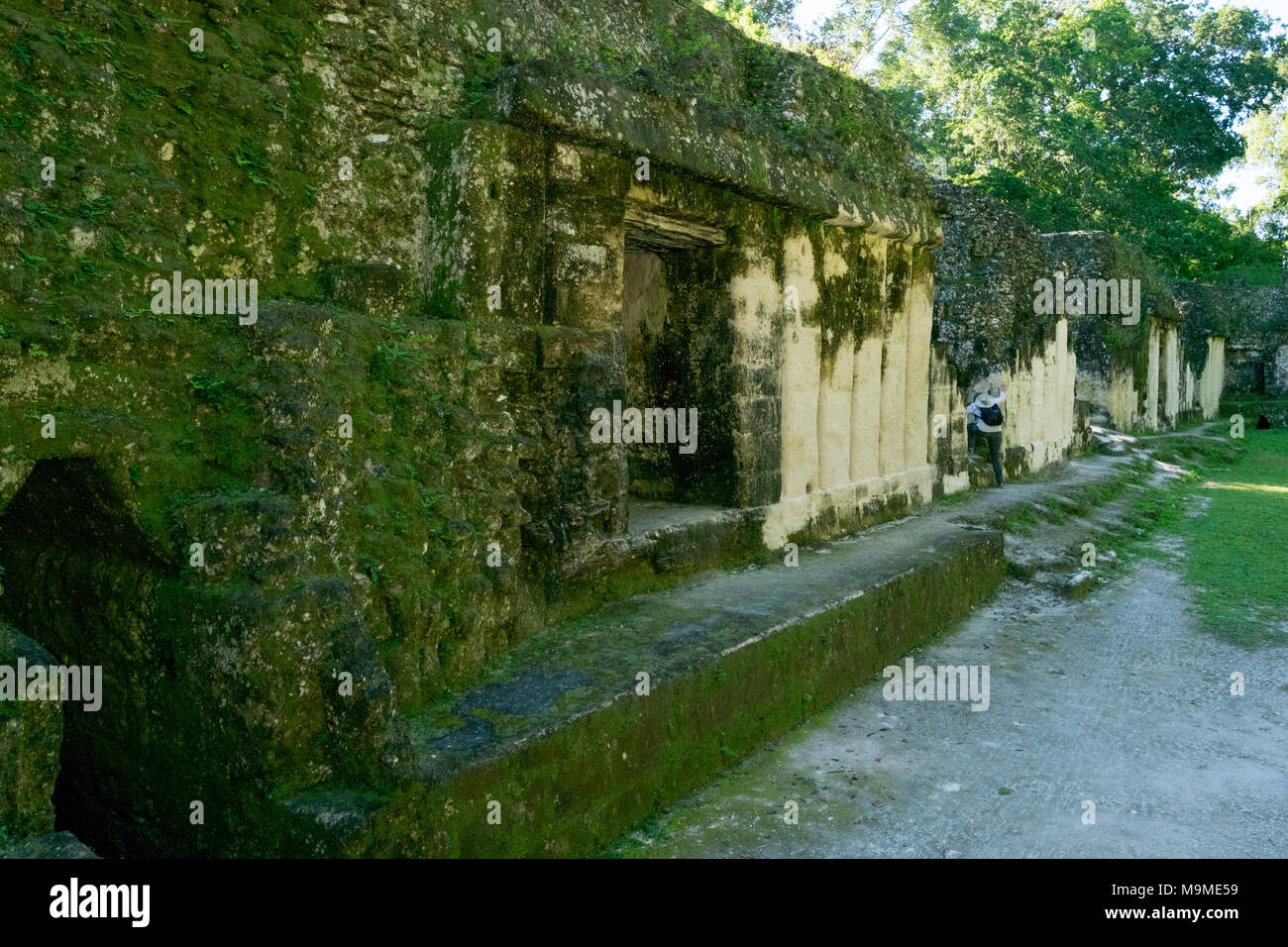 Detail of the ancient Mayan ruins of the Acanaladuras Palace at Tikal, Guatemala Stock Photo