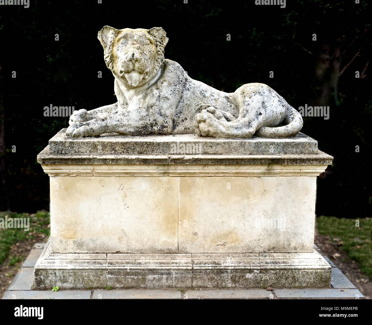 monumental lion sculpture on plinth against dark background, Chiswick House, West London, England Stock Photo