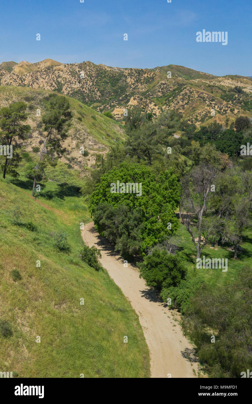 Dirt driving road through green grass and trees in California valley