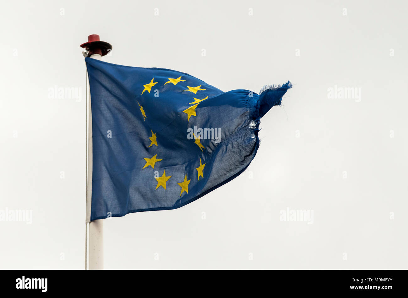 A torn and damaged European Union (EU) flag blowing in the wind against a white sky. Stock Photo