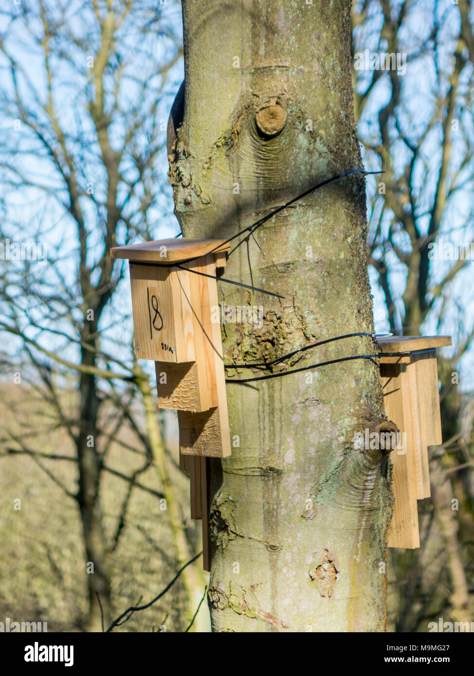 Bat boxes hires stock photography and images Alamy