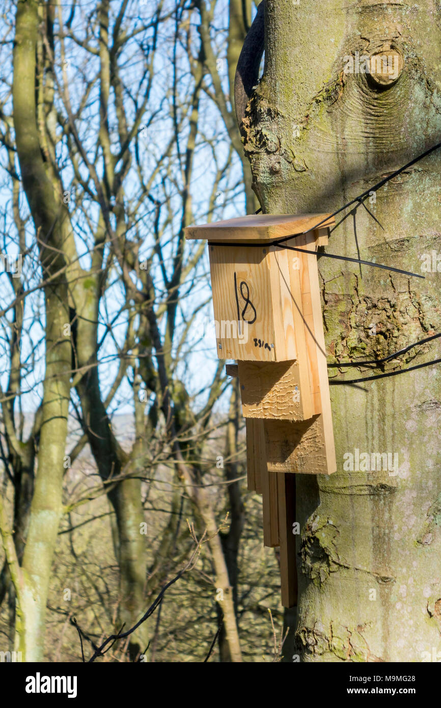 Bat box how to hires stock photography and images Alamy