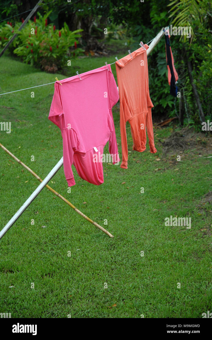 Orange and Pink tops hanging on washing line in garden in Suva, Fiji. Stock Photo