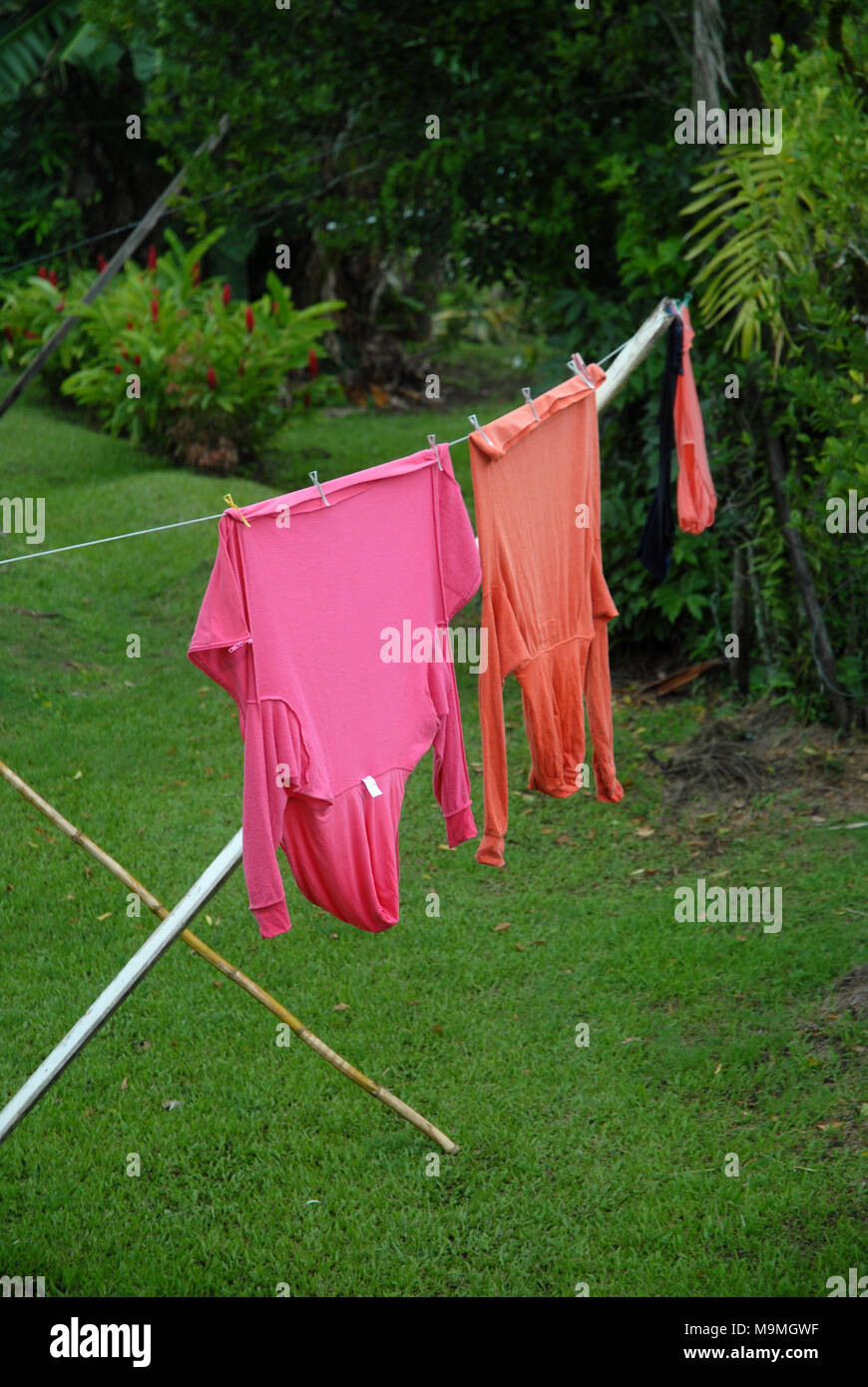 Orange and Pink tops hanging on washing line in garden in Suva, Fiji. Stock Photo