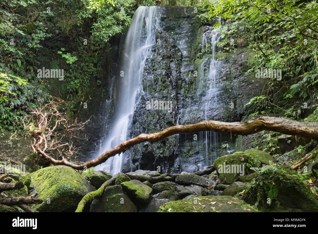 Silky water flow at Matai Falls in the Catlins, New Zealand Stock Photo