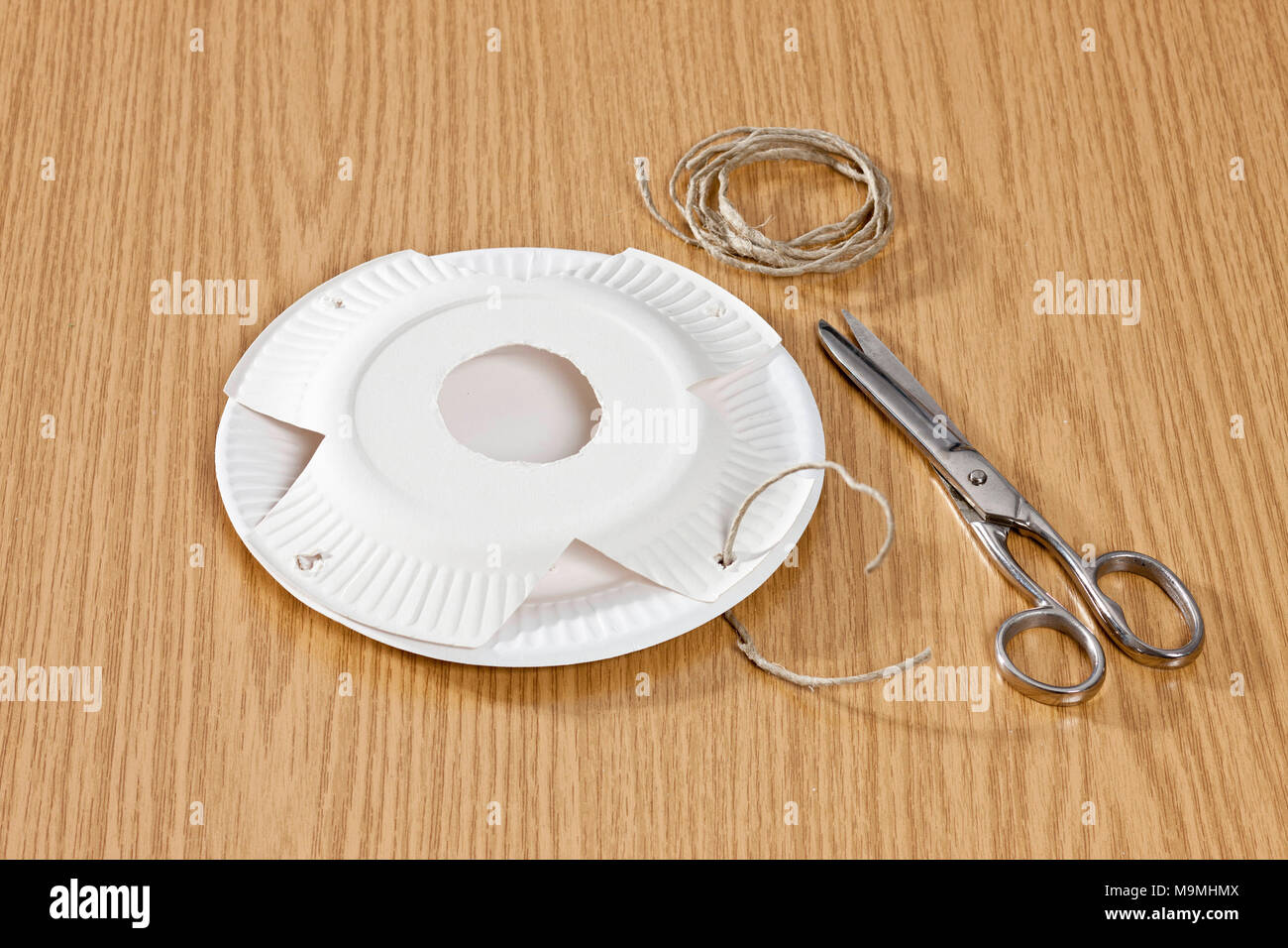 How to make a toy for budgerigars (Melopsittacus undulatus) from paper ...