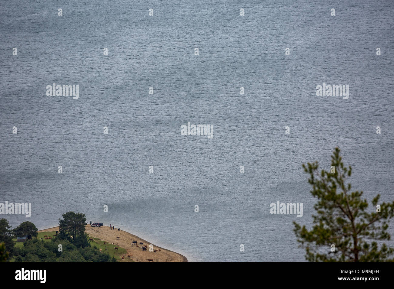 Blue waters of Dospat reservoir from high above with miniature figures of people  fishing and a herd of cows near them Stock Photo - Alamy