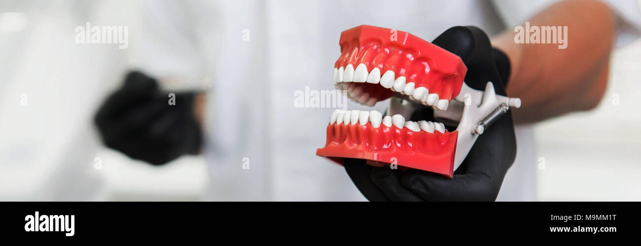 human jaw, dentistry and dental treatment Stock Photo