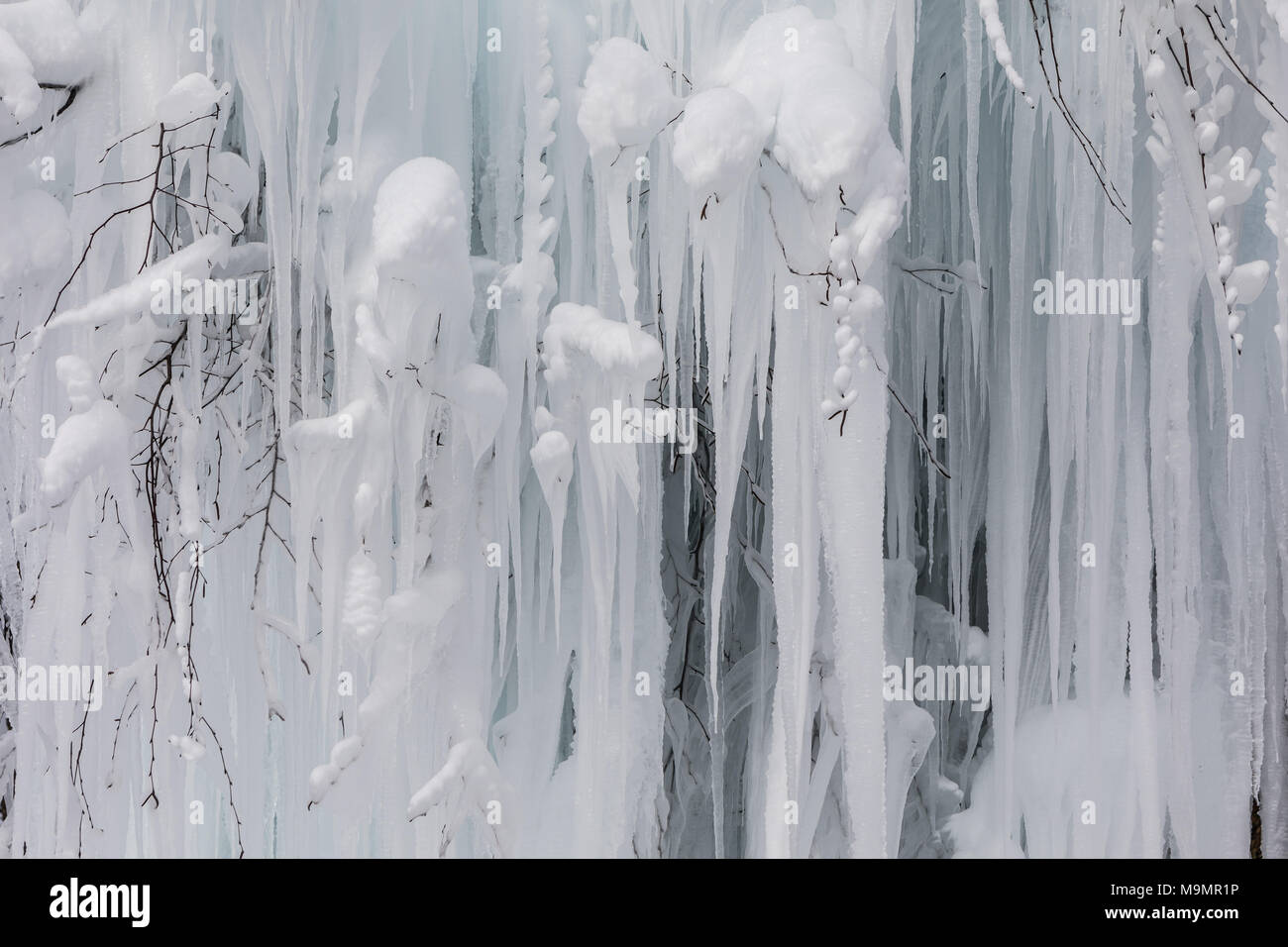 Frozen tree with long icicles, detail, Malters, Lucerne, Switzerland Stock Photo