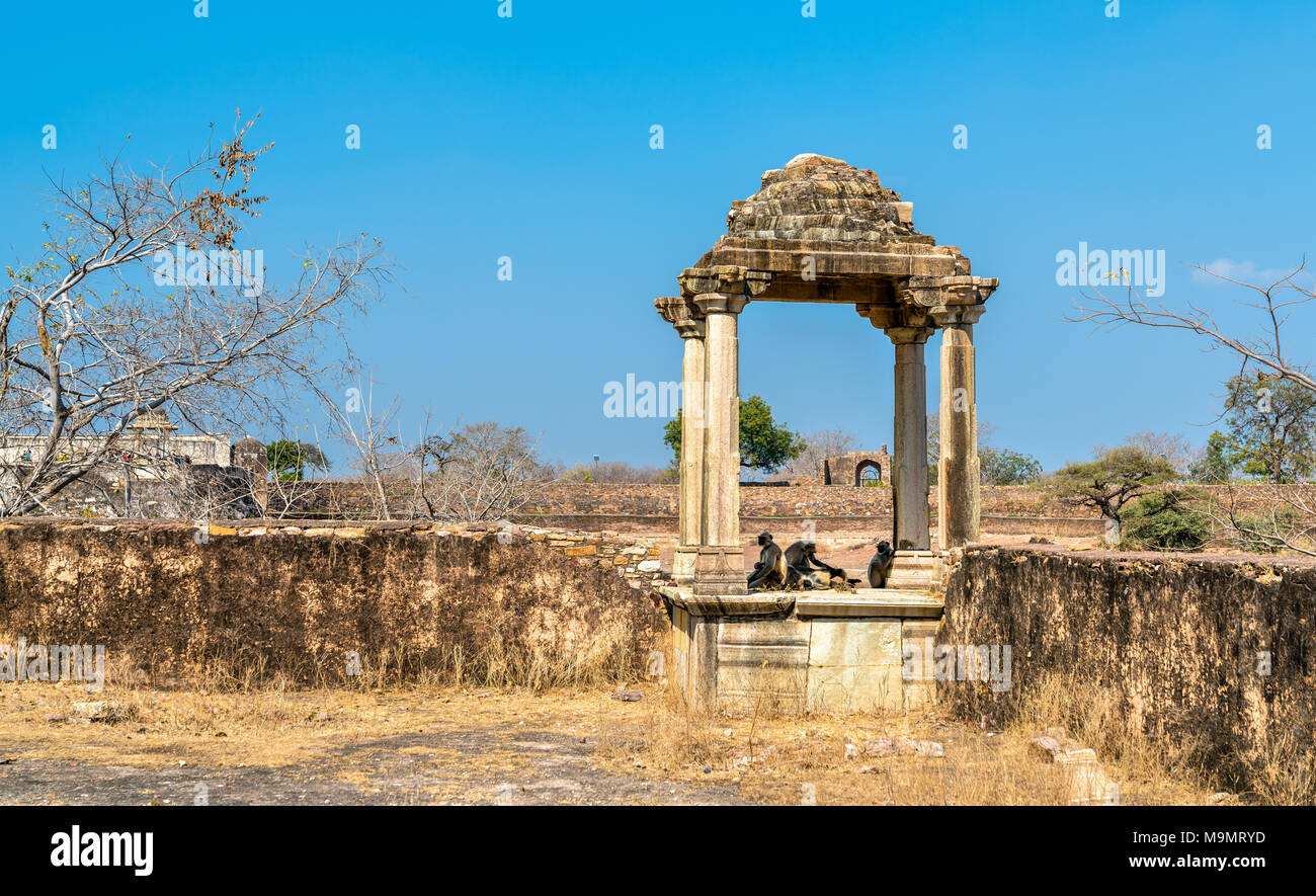 Fortifications at Rani Padmini Palace at Chittorgarh Fort. Rajasthan, India Stock Photo