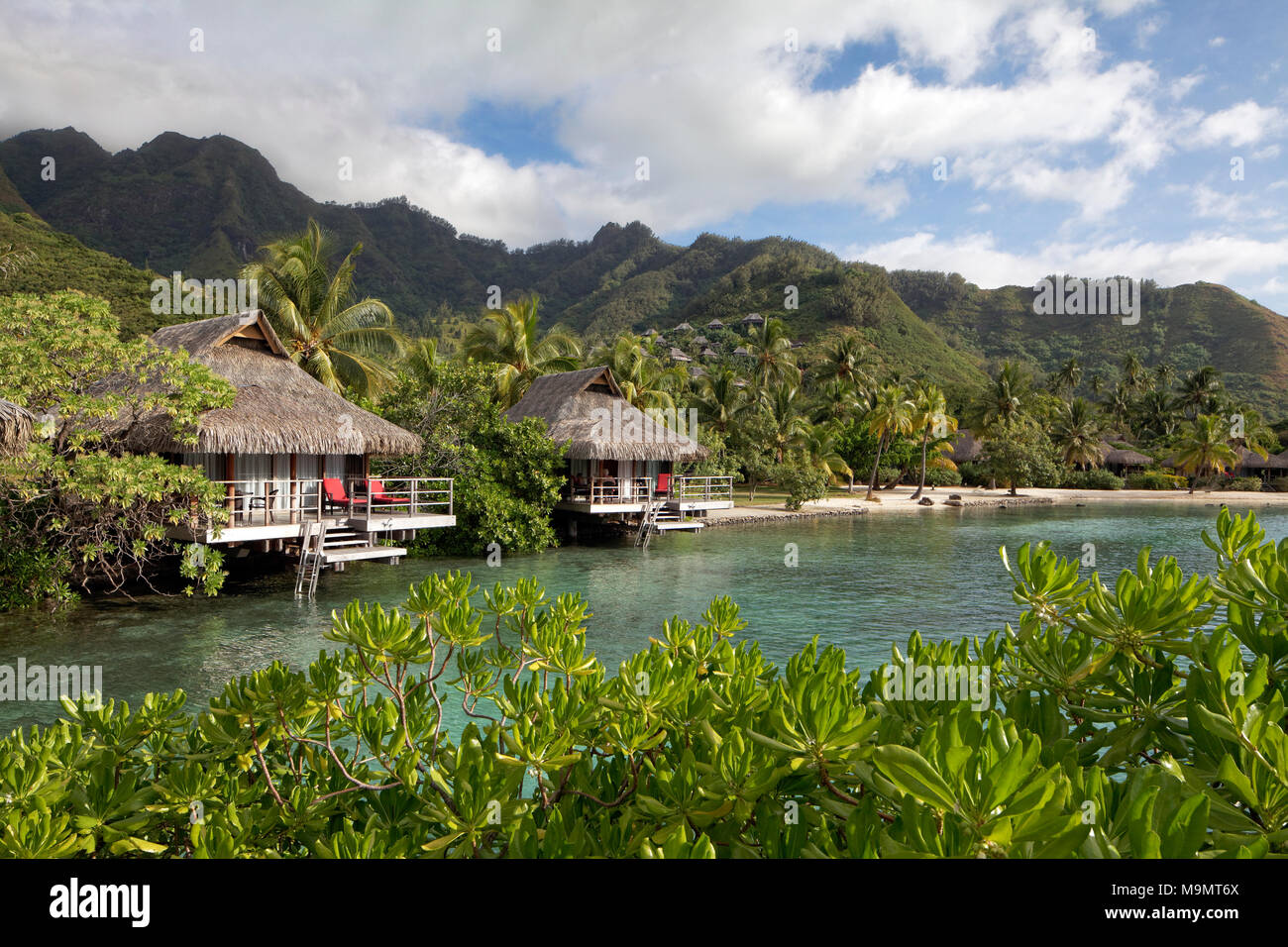 Bungalows by the sea with palm trees in front of green hills, Luxury