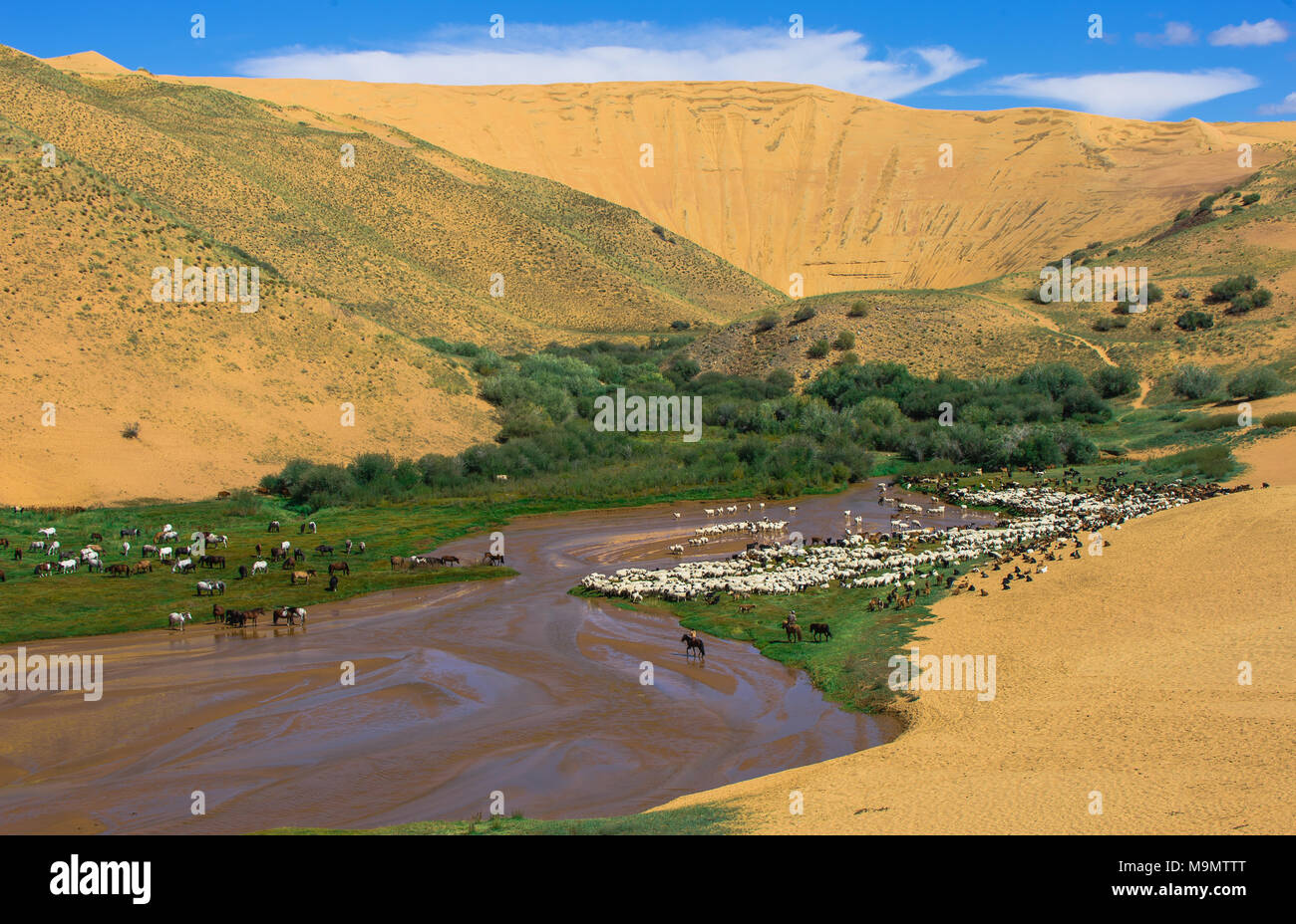 Baga-Nariin-Gol, Nariin River, Mongolia Stock Photo - Alamy