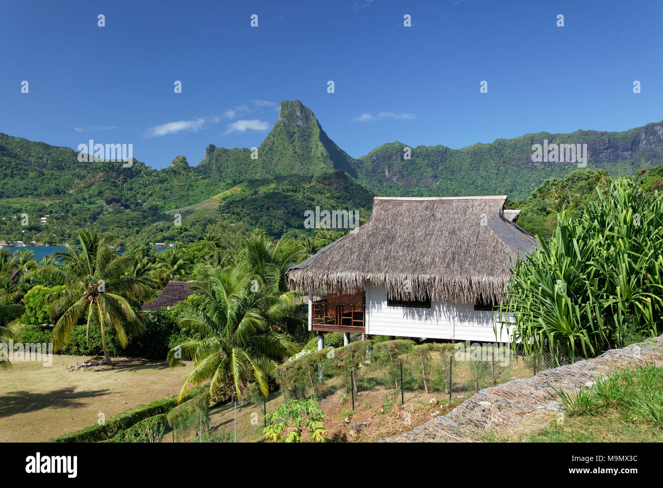 Residential house with traditional thatched roof, close to Opunohu Bay in front of green mountain range, Moorea, society islands Stock Photo