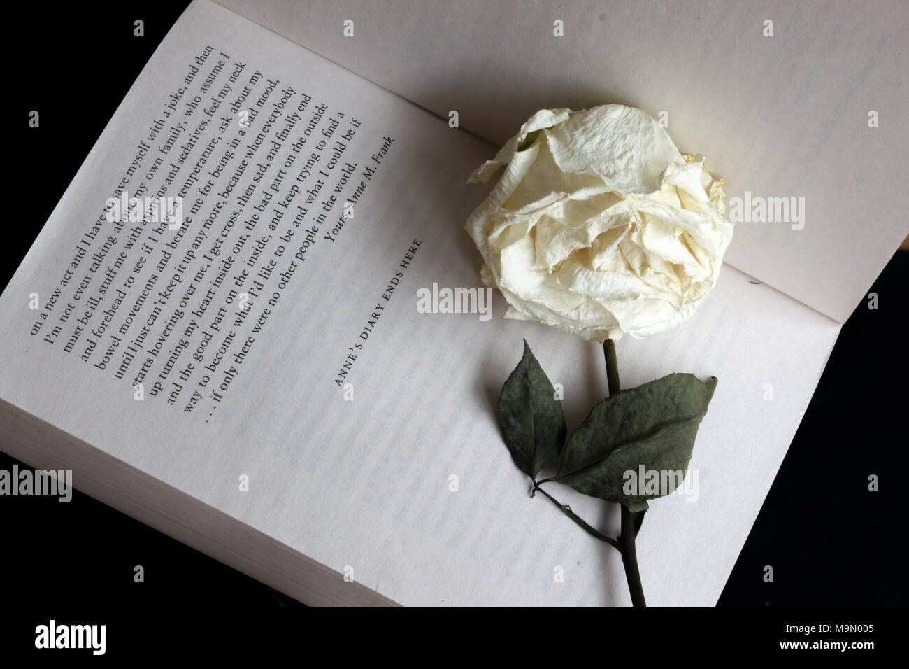 Last page of 'The Diary of a Young Girl' by Anne Frank, showing the words 'Anne's diary ends here' with a withered white rose placed on the book Stock Photo