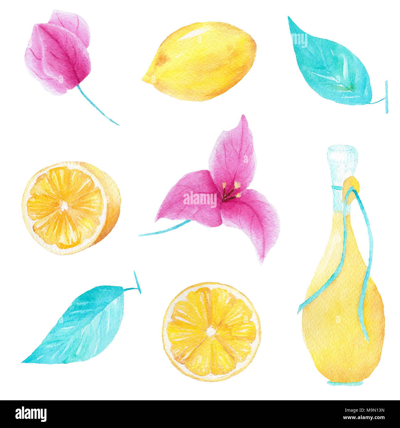 Watercolor handmade set of lemon, olive oil, leaf and bouganvillea flower on white background. Can be used for printing and decoration. Stock Photo