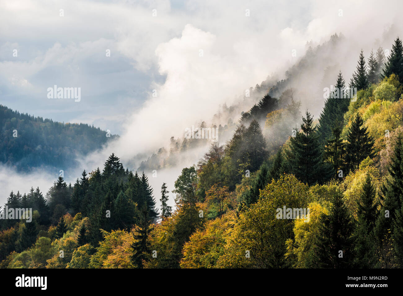 Fog in the Höllental valley, autumn, near Freiburg, Black Forest, Baden-Württemberg, Germany Stock Photo