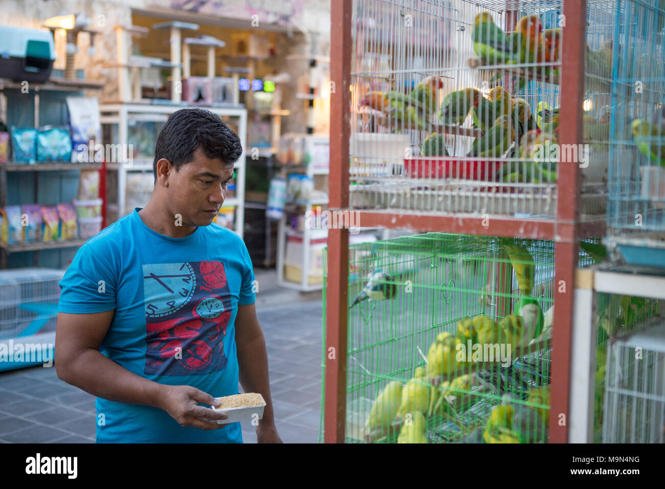 A man feeds caged birds at a bird market in Doha, Qatar Stock Photo