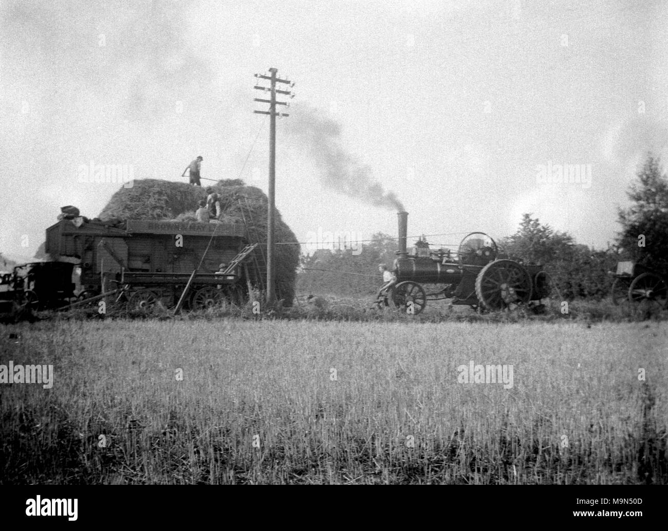 AJAXNETPHOTO. 1913. SUTTON COURTNEY, ENGLAND. - STEAM POWERED THRESHER AT WORK THRESHING THE HARVEST. PHOTOGRAPHER:UNKNOWN © DIGITAL IMAGE COPYRIGHT AJAX VINTAGE PICTURE LIBRARY SOURCE: AJAX VINTAGE PICTURE LIBRARY COLLECTION REF:182303NR6 Stock Photo