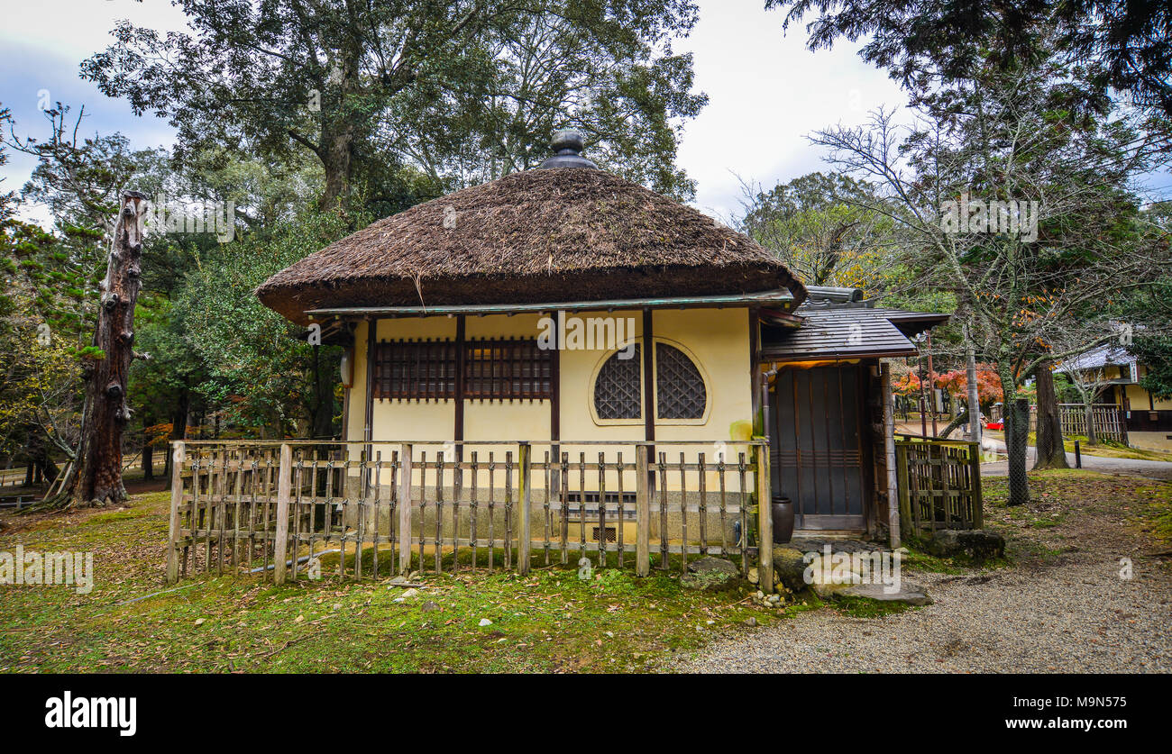 Nara, Japan Nov 25, 2016. Traditional houses with tree garden in Nara