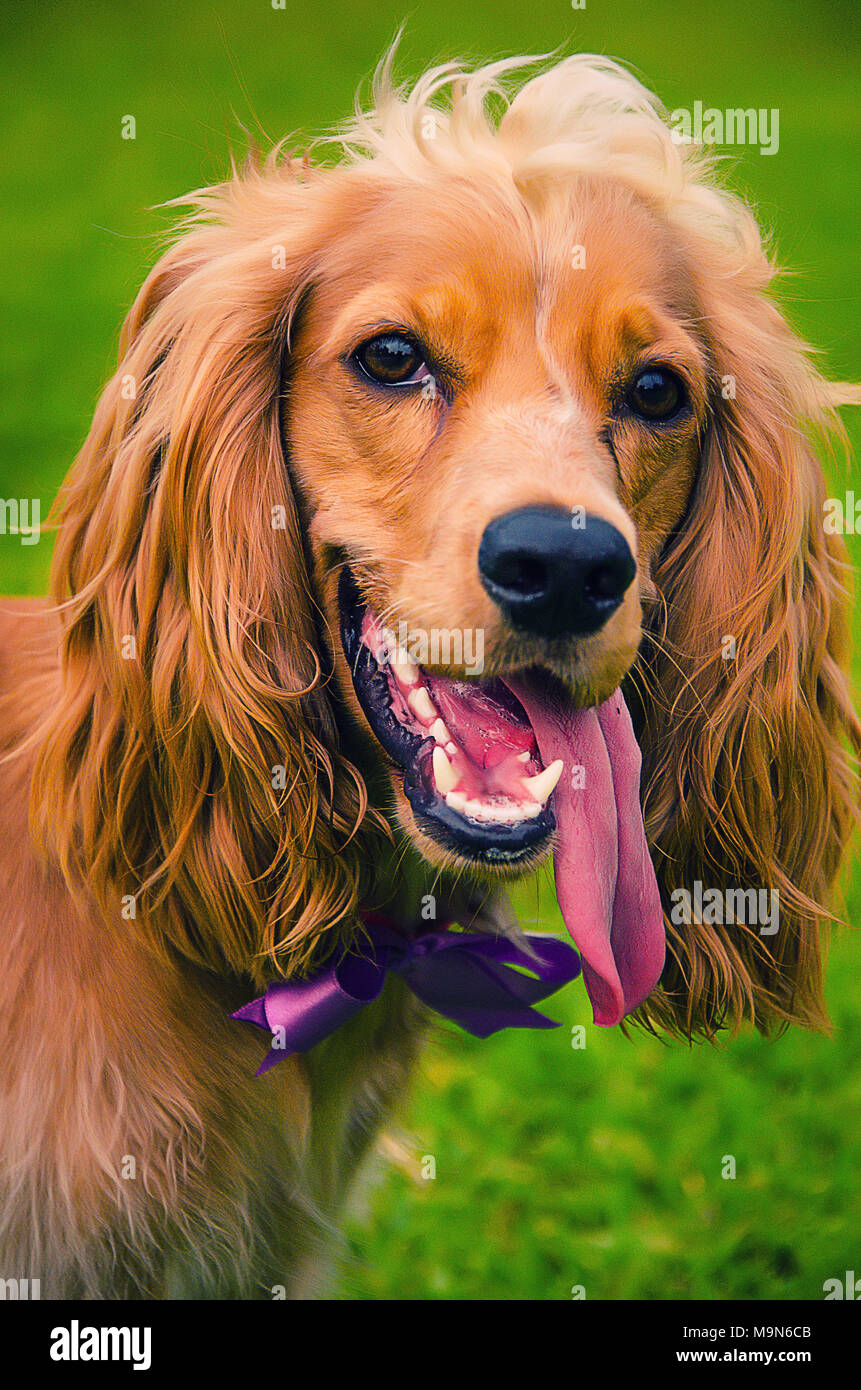 Togri portlash bilan qoramagiz porno Olga Sumskayaning jinsiy aloqasini tomosha qiling