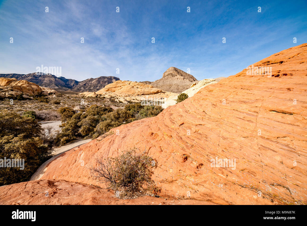 Red Rock Canyon in the Mojave desert, Navada, U.S.A Stock Photo Alamy