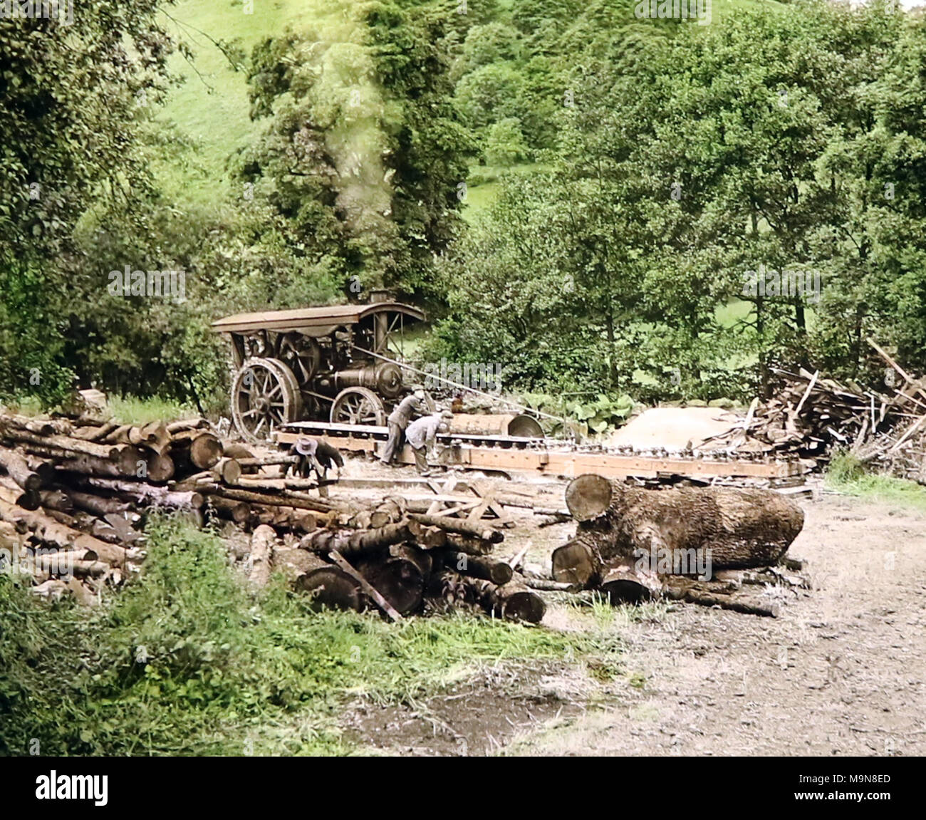 A sawmill powered by traction engine, early 1900s, hand coloured photo