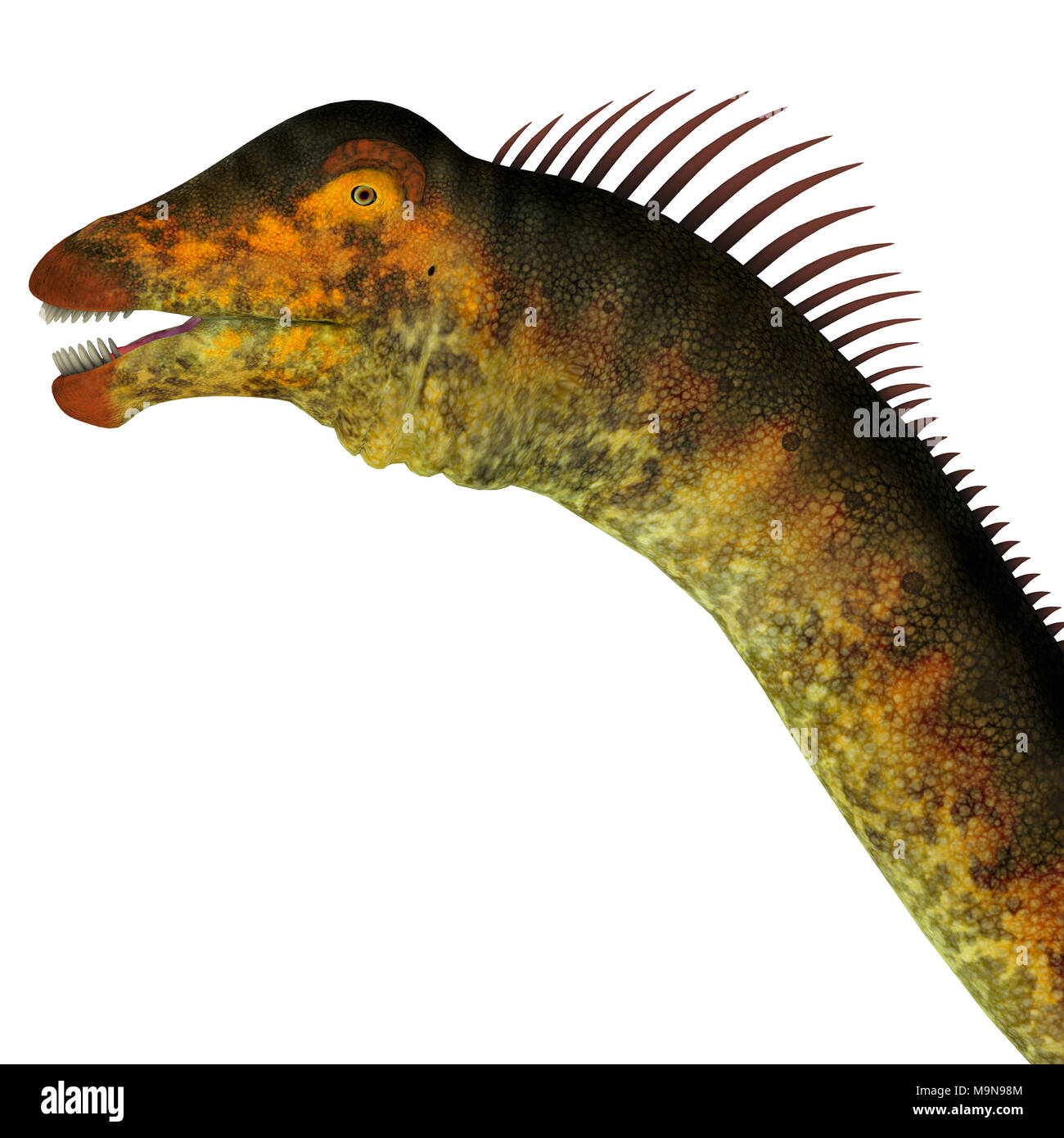 Barosaurus hires stock photography and images Alamy