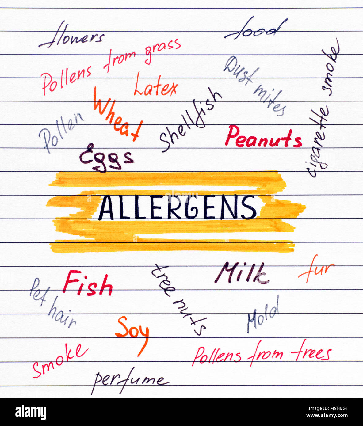Different allergens written on lined paper. Close-up. Stock Photo