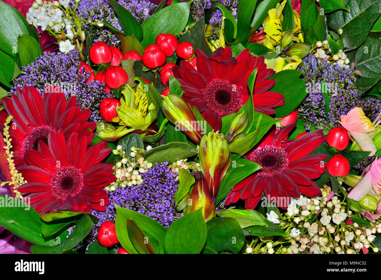 Bright colorful festive floral background - beautiful bouquet from red gerberas, alstroemeria flowers, hypericum Stock Photo