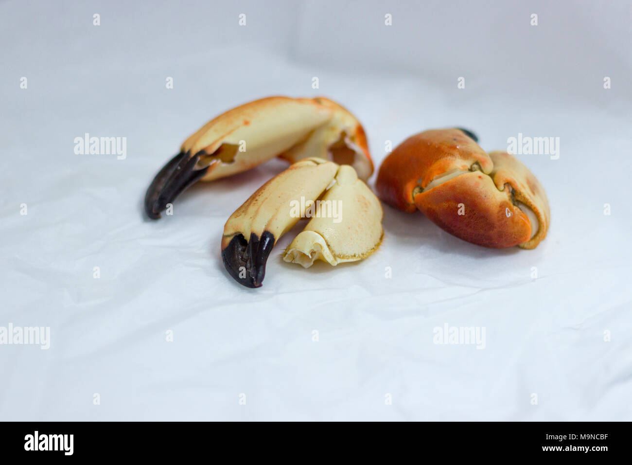 Crab Claws Cooked Stock Photo Alamy