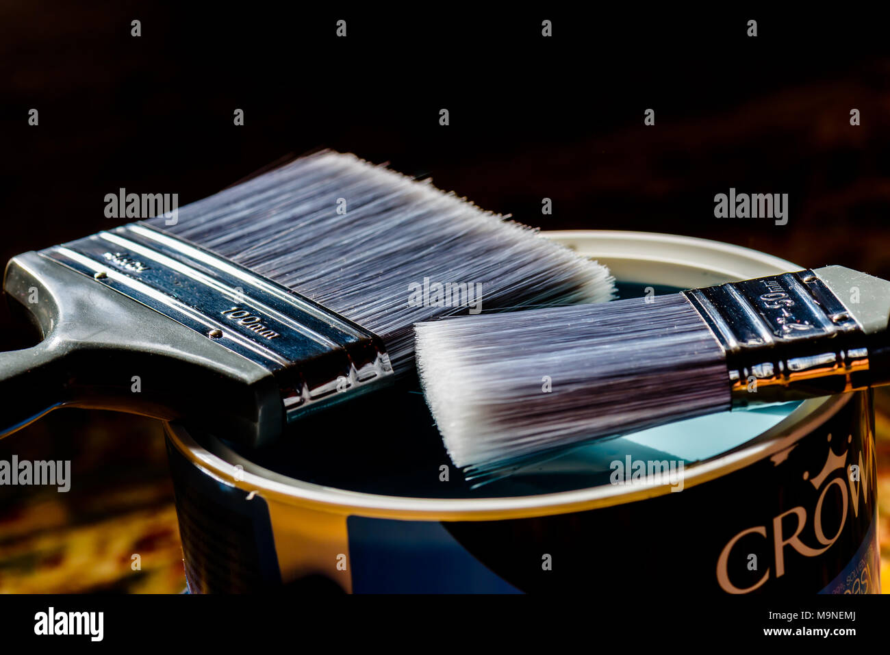 Decorators Paint Brush and Paint Stock Photo Alamy