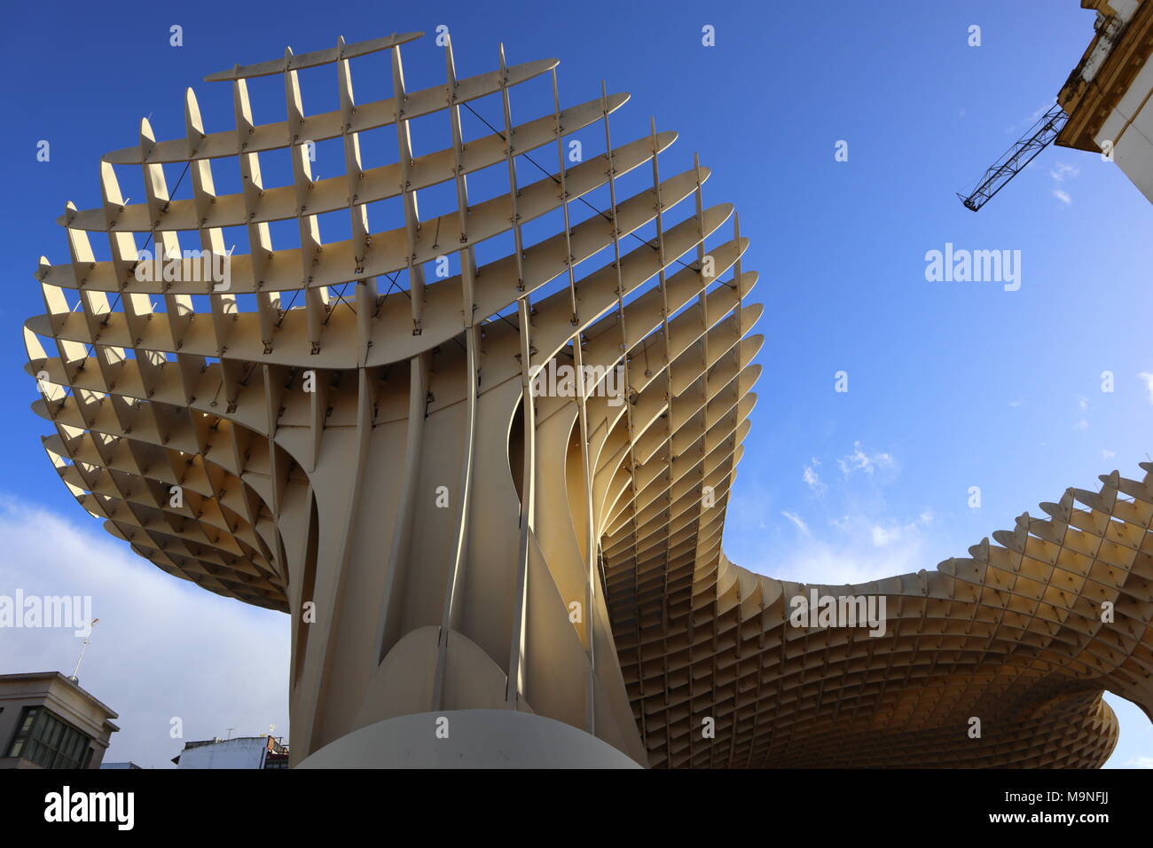 Metropol Parasol, modern architecture, wooden structure, curved shape, Jürgen Mayer, a landmark of Seville, Spain Stock Photo