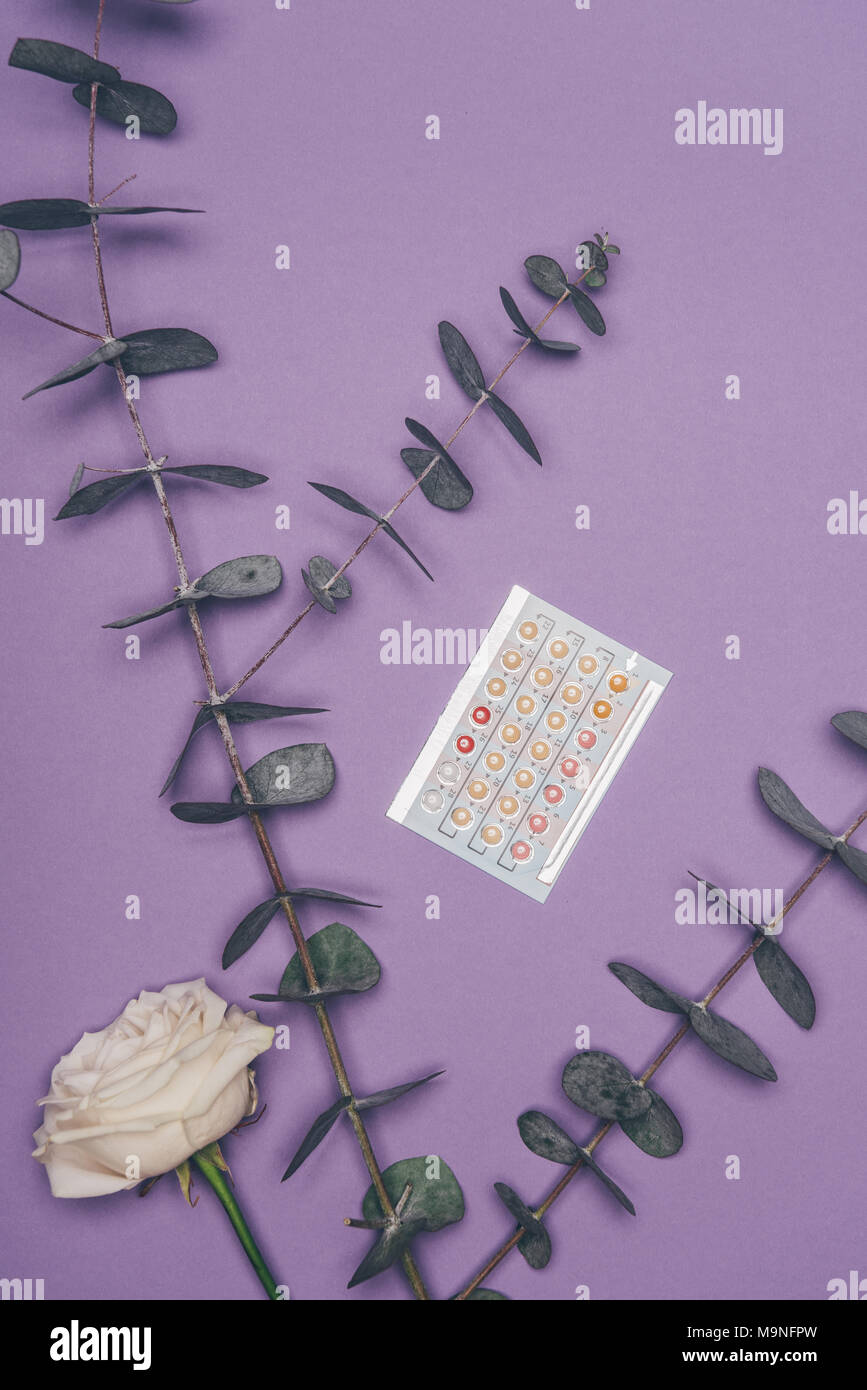 top view of contraceptive pills and flower with eucalyptus leaves isolated on purple Stock Photo