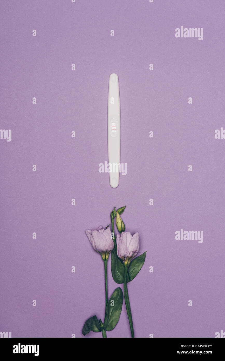 top view of arranged pregnancy test and flowers with green leaves