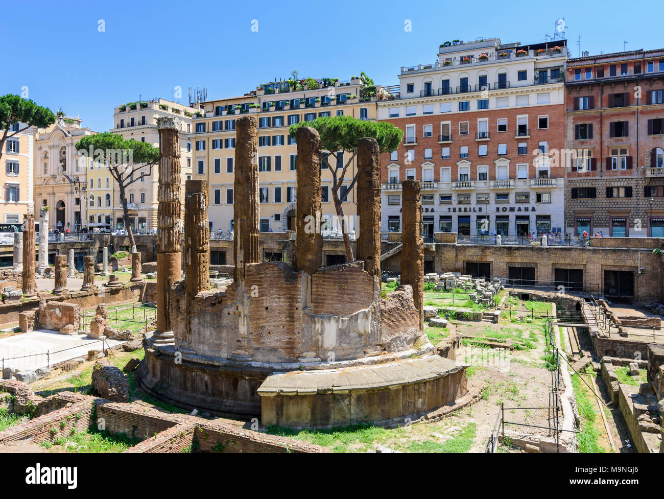 Roman ruins in the Largo di Torre Argentina, Rome, Italy Stock Photo