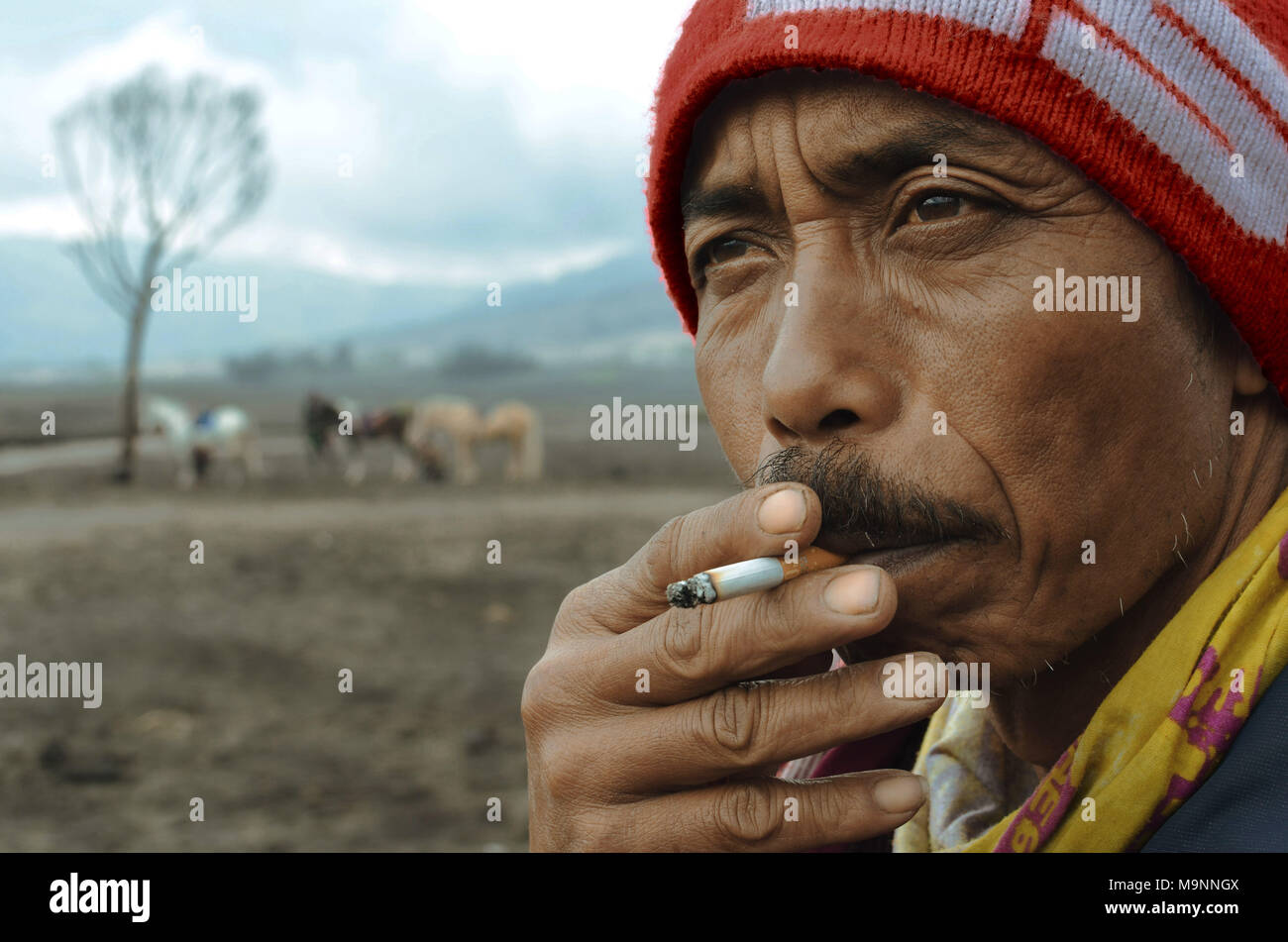 Cold weather smoking outlet