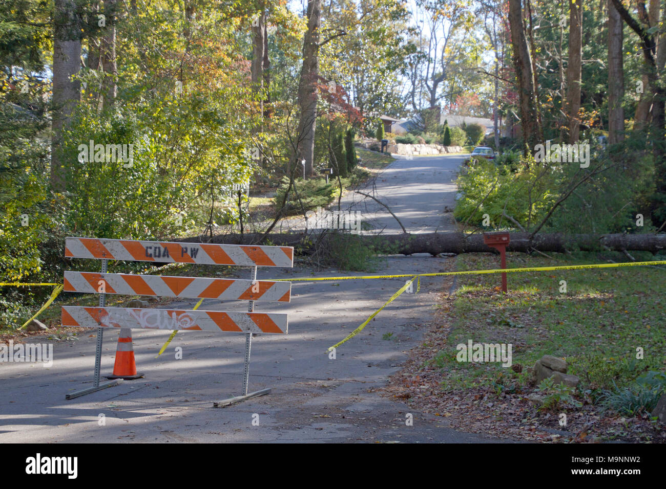 Yellow tape, a roadblock fence and construction cone block access to