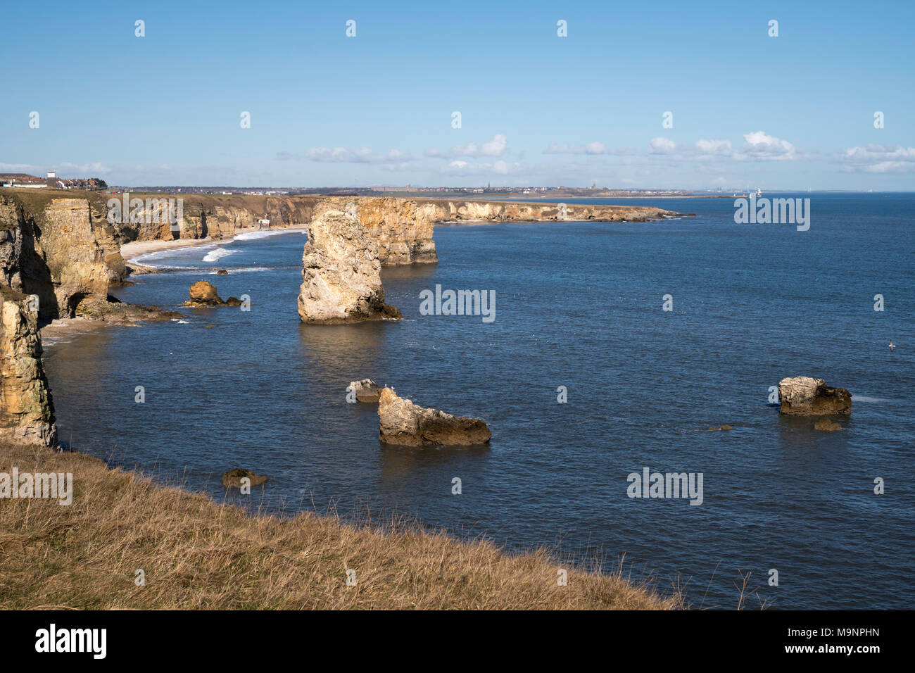 Sea stacks within Marsden bay, north east England, UK Stock Photo