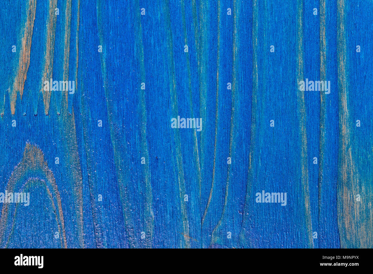 Pine wood background painted blue and varnished to which the veins of