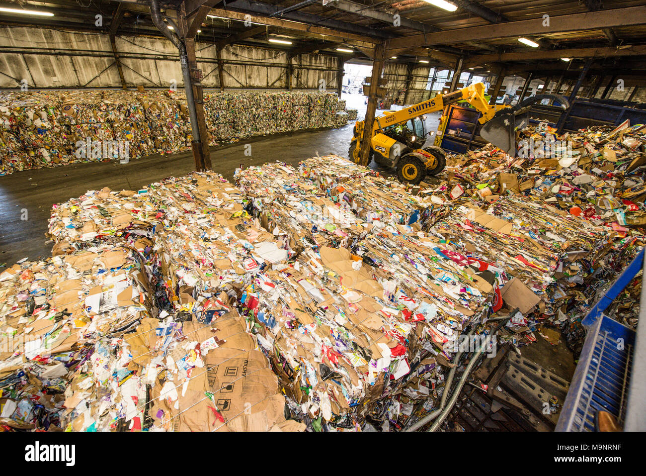 Bales of recycled cardboard and plastic in a large council-run warehouse and a yellow forklift truck grabbing a pile of rubbish at the recycling plant Stock Photo