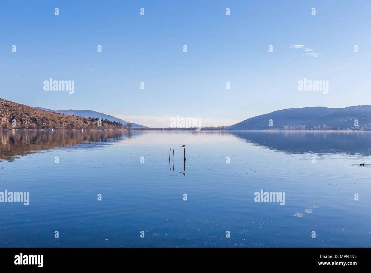 Lake of Kastoria in Greece. Wildlife and calm waters with reflections Stock Photo