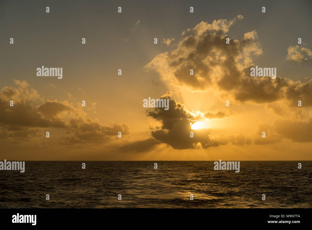 Sunset behind a cruising cruise ship at sea Stock Photo - Alamy